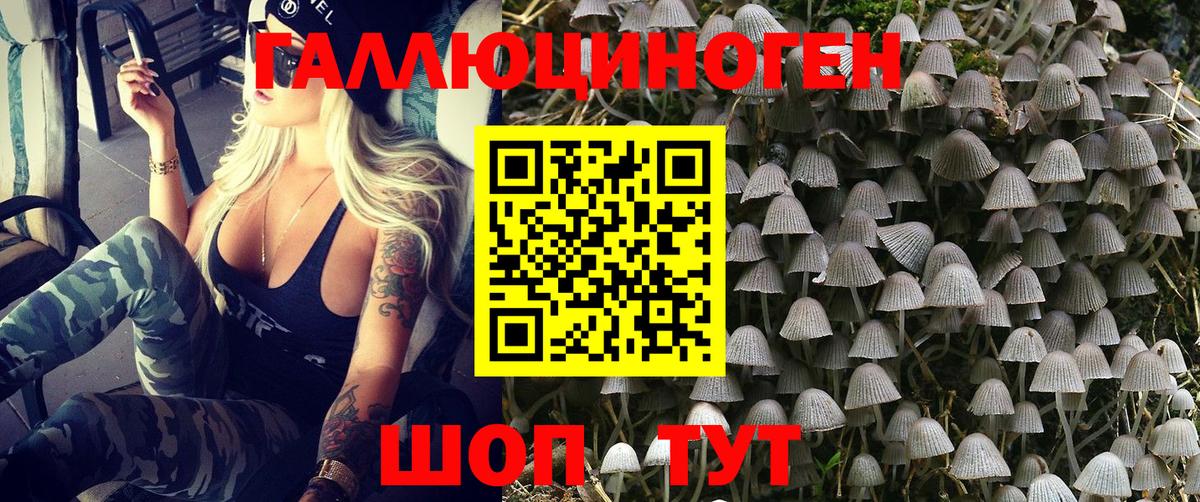 Галлюциногенные грибы MAGIC MUSHROOMS  Вход с VPN  Галлюциногенные грибы GOLDEN TEACHER  где купить   Звенигород 