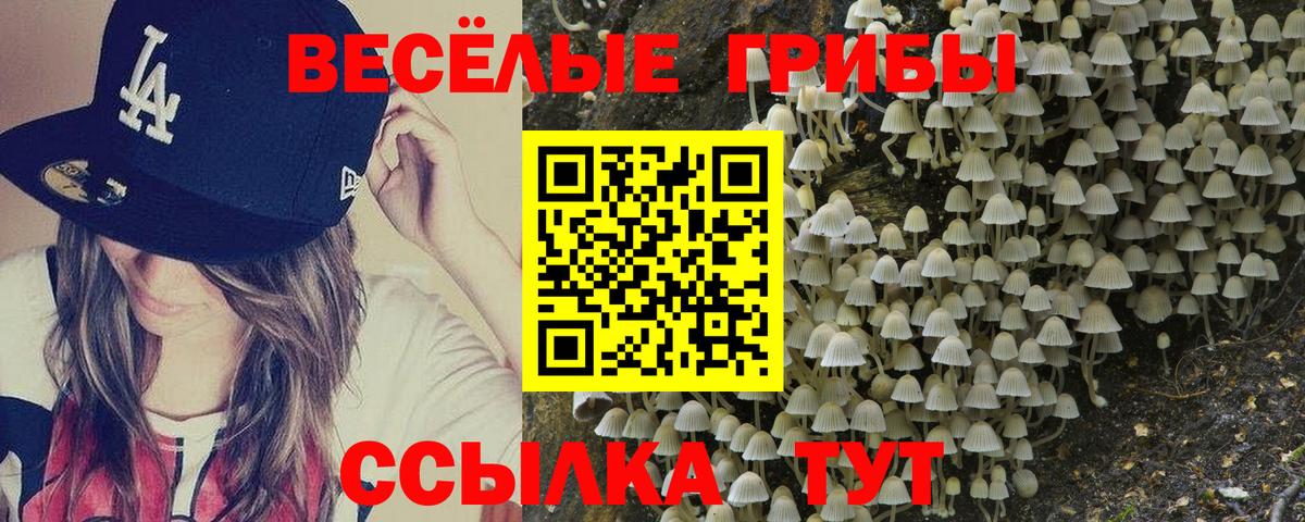 Псилоцибиновые грибы Magic Shrooms Звенигород